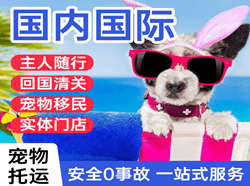 宁蒗泸沽湖空运代理国际宠物托运 【国